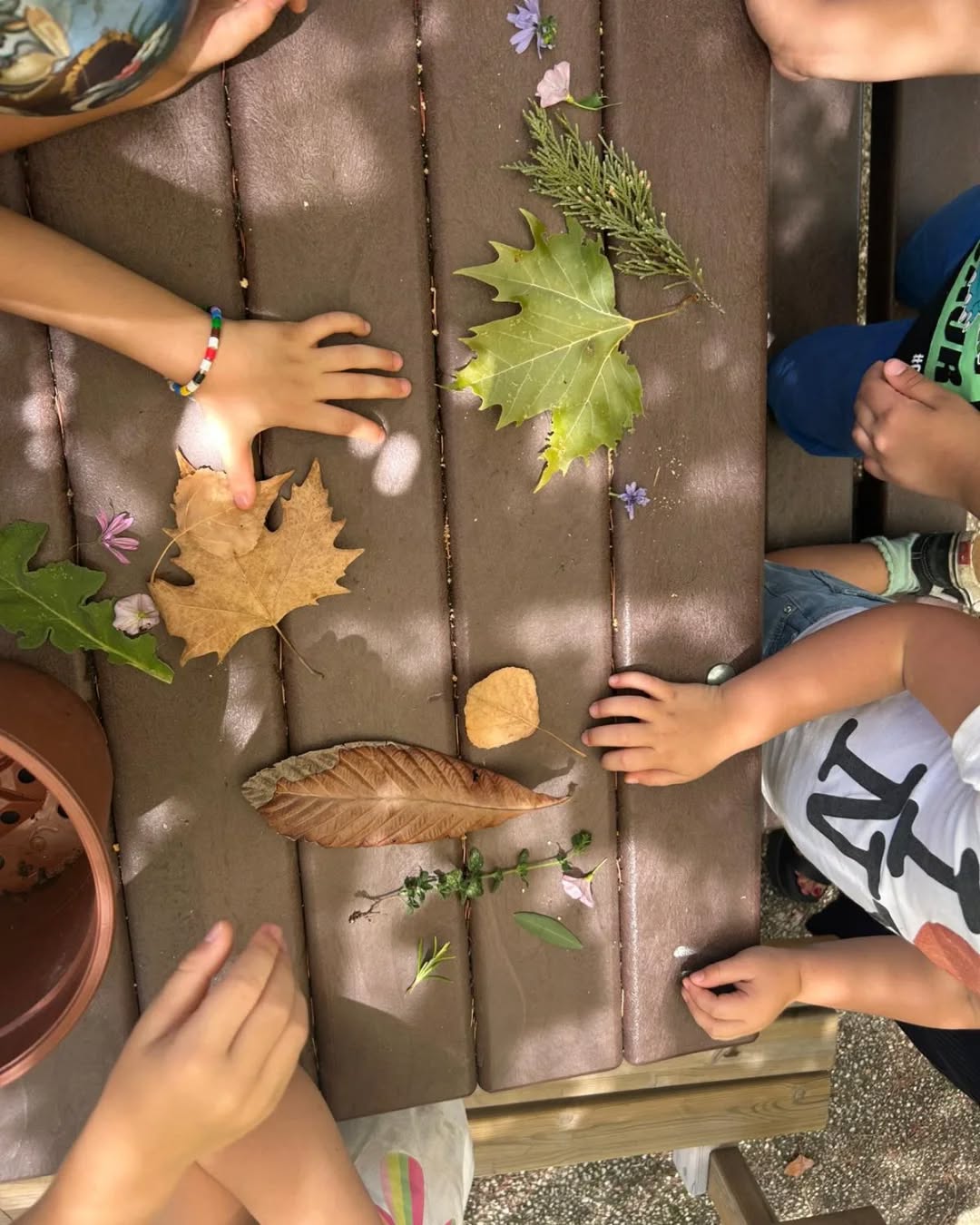 Bambini durante un'attività di educazione all'aperto